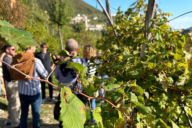 2 Guests Private Prosecco Road Tour All Inclusive from Venice - San Pietro di Feletto: where the terrain changes
