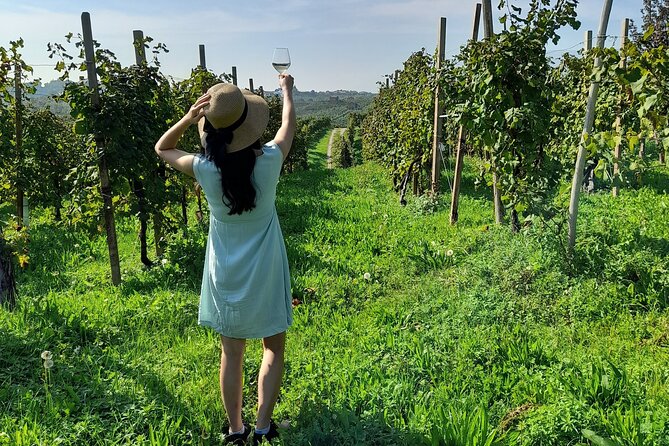 2 Guests Private Prosecco Road Tour All Inclusive from Venice - The drive and the steep hills in Valdobbiadene