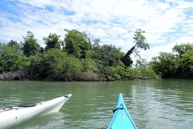 2 Hour Night Kayak Tour in Venice, premium experience with sunset - Kayak setup and tutorial: what you should expect before paddling