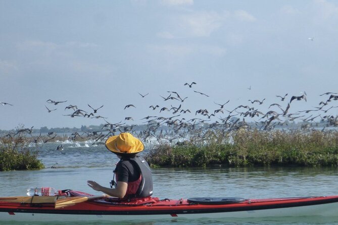 2 Hour Night Kayak Tour in Venice, premium experience with sunset - Entering Venice from the water: canals first, then the lagoon