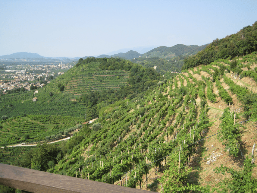 8-Hour Prosecco Wine and Tastings Tour from Venice or Padua - Scenery and Timing: Dolomites Views and an 8-Hour Rhythm