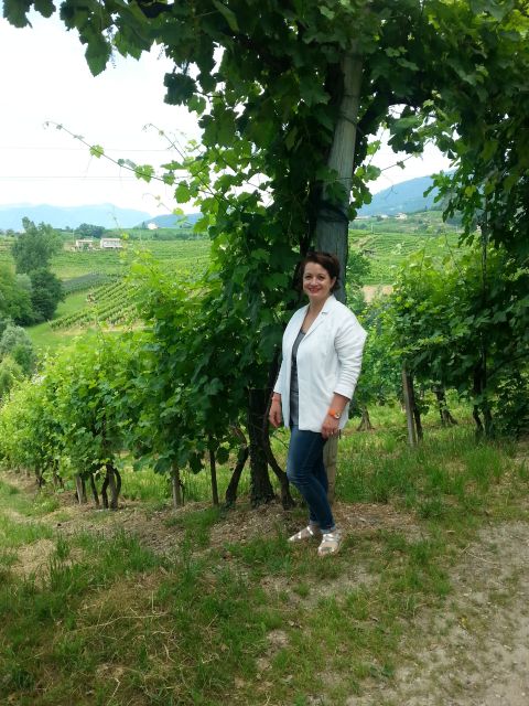 8-Hour Prosecco Wine and Tastings Tour from Venice or Padua - Getting Out of Venice or Padua: The Road Trip That Pays Off