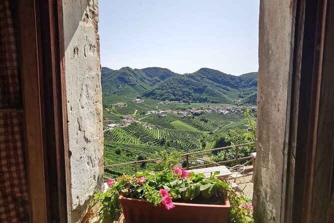 Adventure in the Prosecco Hills by Yellowboot - Prosecco Hills: why this area feels different than the wine aisle
