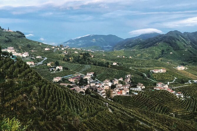 Adventure in the Prosecco Hills by Yellowboot - Who this tour suits best (and who might want a different plan)