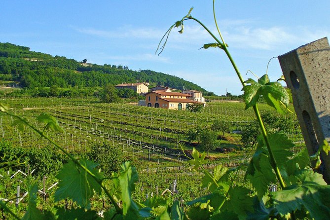 Amarone & Soave Wine Tour with Sommelier – Visit Verona - Verona’s walking tour: main sights without the tourist math