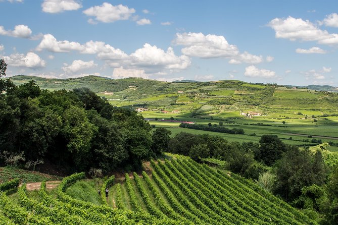 Amarone & Soave Wine Tour with Sommelier – Visit Verona - Price and value: $280 per person, but what are you really buying?