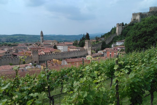 Amarone & Soave Wine Tour with Sommelier – Visit Verona - Soave tasting: crisp whites and small-producer hospitality