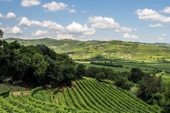 Amarone-Valpolicella tour. Visit Verona. From Venice - From Piazzale Roma at 9am: the day-trip rhythm