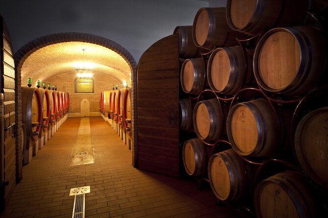 Amarone-Valpolicella tour. Visit Verona. From Venice - Price and value: why $240 feels like a real deal