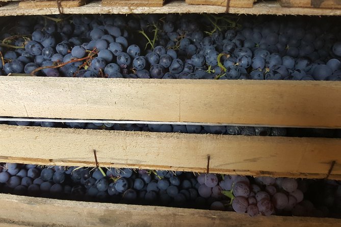 Amarone Wine Tour (all-inclusive full day with lunch and expert wine guide) - Driving Into Valpolicella: Why the Ride Matters (More Than You Think)