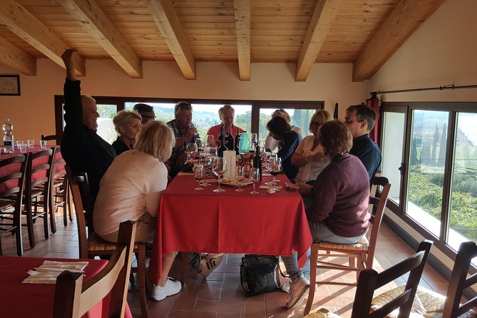 Amarone Wine Tour (all-inclusive full day with lunch and expert wine guide) - Who This Amarone Day Trip Fits Best (and Who Might Skip It)