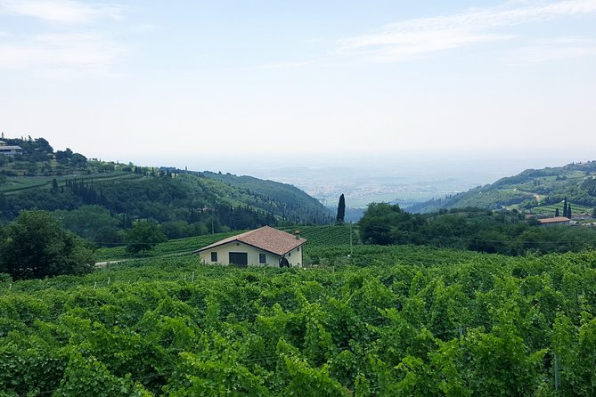 Amarone Wine Tour (all-inclusive full day with lunch and expert wine guide) - Two Winery Stops and Amarone Tasting That Teaches Your Nose