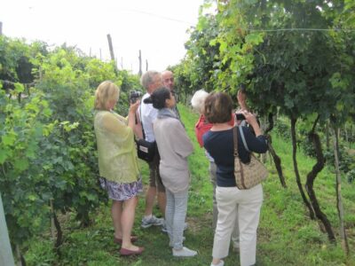 Amarone Wine Tour & Tasting from Venice, Padua or Verona - Getting there from Venice, Padua, or Verona without the hassle