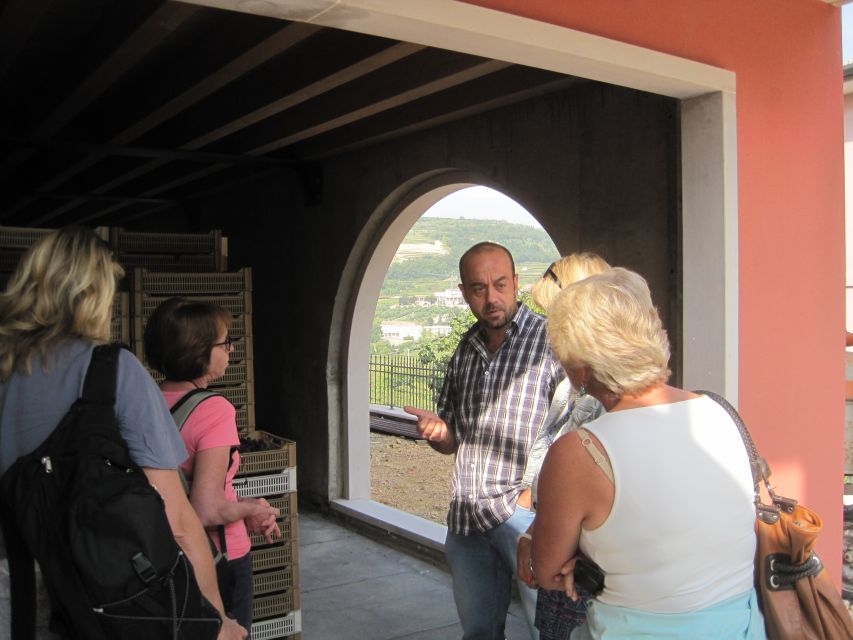 Amarone Wine Tour & Tasting from Venice, Padua or Verona - Lunch at a trattoria: what you’ll eat and how it fits the day