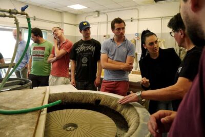 Arte Di Murano: Glass Factory Tour - The Factory Space: Upstairs Viewing at 12 Meters