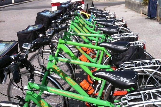 Bike rental in Venice - Entering The Bike Shop With the Right Bike Type