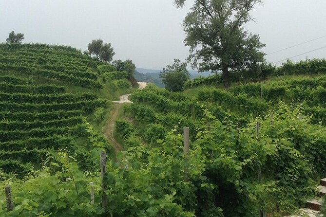 Exclusive Prosecco Wine Tour from Venice - Small Group - Lunchtime between tastings: what’s on the plate and why it matters
