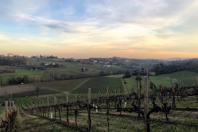 Food and Wine Tour on the Prosecco Hills from Venice - Why this Prosecco hills tour makes sense from Venice