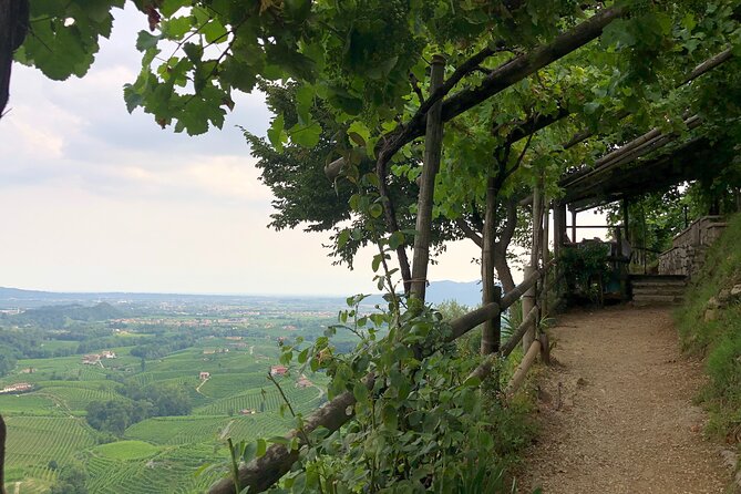 Food and Wine Tour on the Prosecco Hills from Venice - Valdobbiadene: high on the DOCG hills