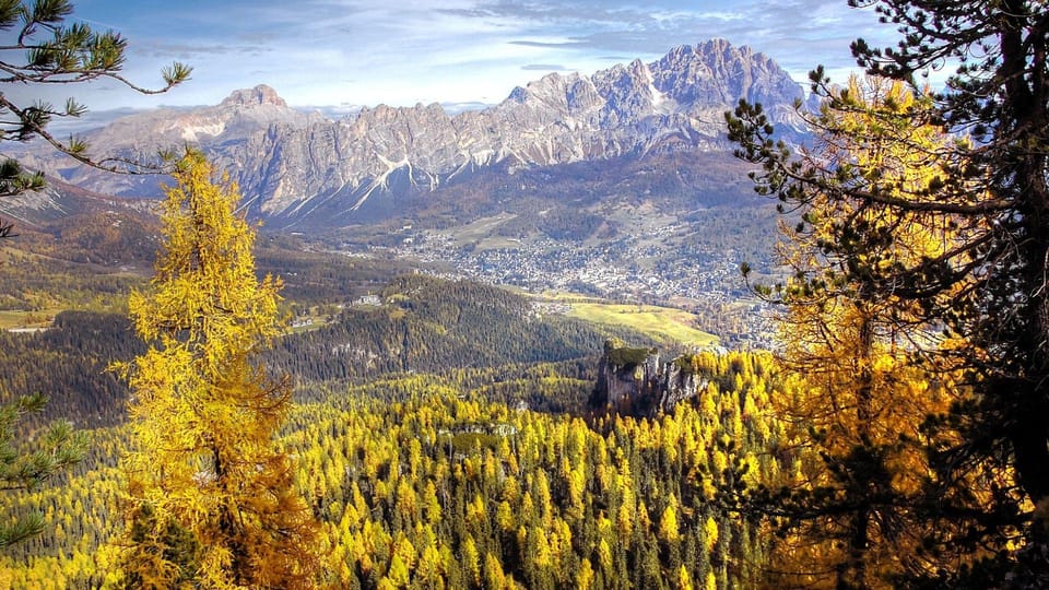 From Venice and Treviso: Dolomites Day Tour - Price and value: is $225.44 per person worth it?