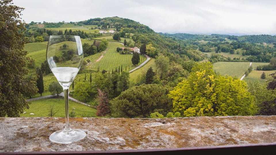 From Venice: Wine and Food tour in the Prosecco Hills - Key things I’d circle before you book