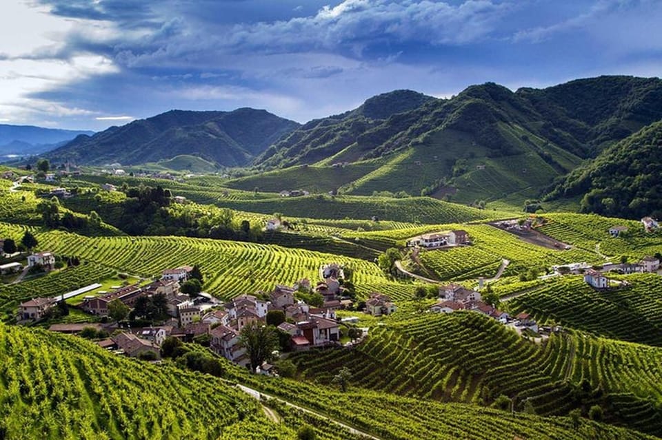 From Venice: Wine and Food tour in the Prosecco Hills - Farra di Soligo winery visit: family production and your host experience