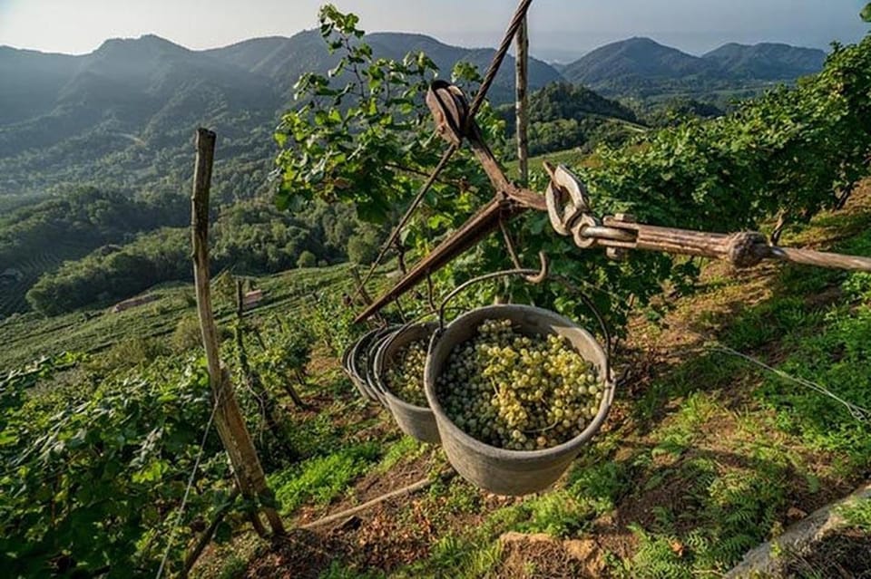 From Venice: Wine and Food tour in the Prosecco Hills - Meet Paolo and Anna: why a max-4 group feels like VIP