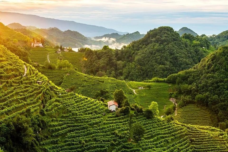 From Venice: Wine and Food tour in the Prosecco Hills - Price and value: is $175.59 per person fair for a private ride