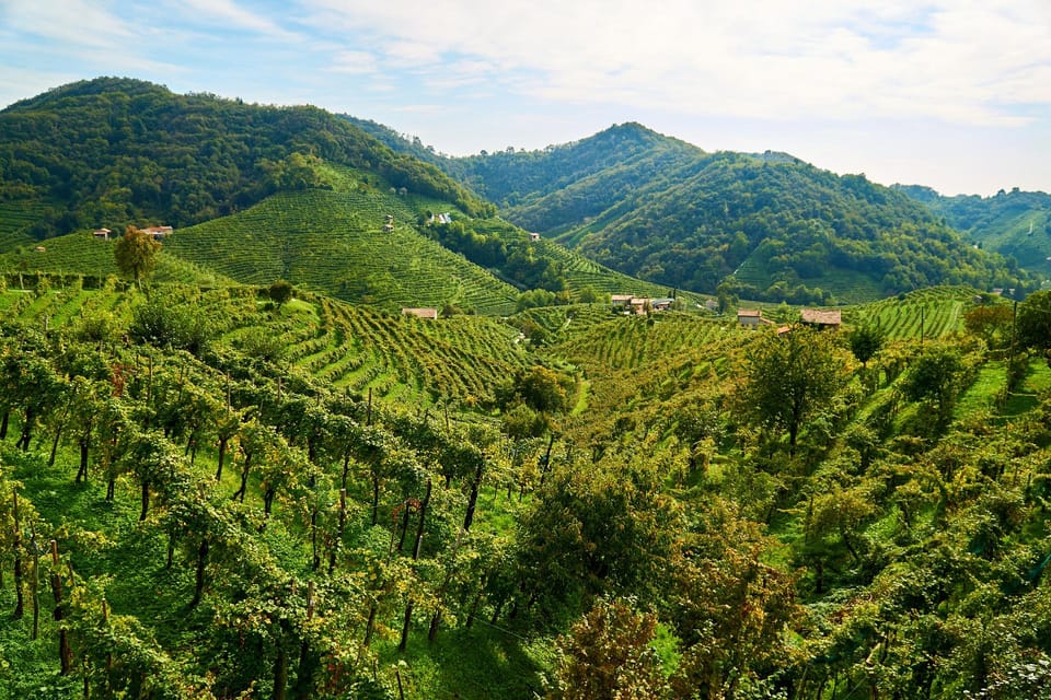 From Venice: Wine and Food tour in the Prosecco Hills - Who this Prosecco Hills tour fits best