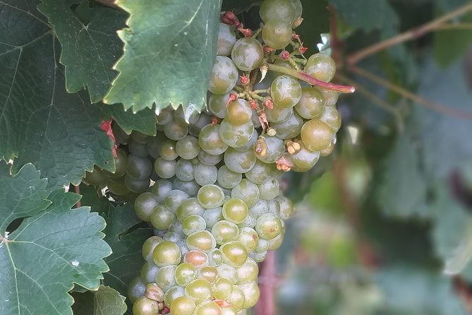 Full day Private Prosecco Tour, with certified Sommelier - Lunch Without the Price Trap: How You’ll Eat in the Right Place