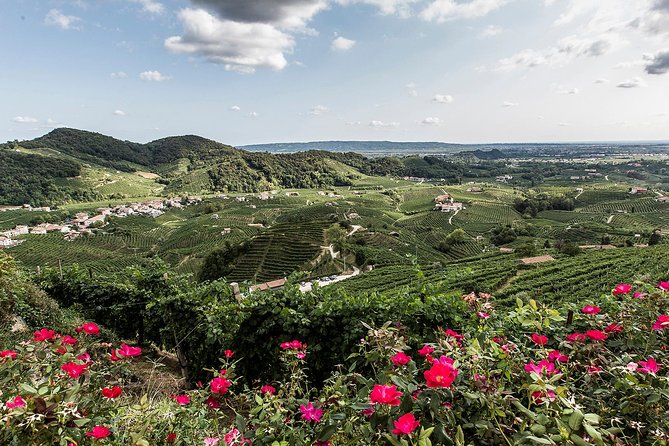 Full day Private Prosecco Tour, with certified Sommelier - Who This Private Prosecco Tour Is For
