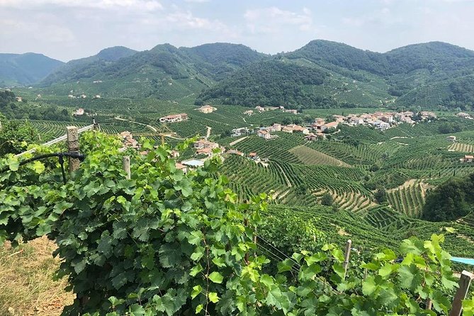 Full Day Prosecco and Cheese Tasting from Venice - Key highlights worth showing up for