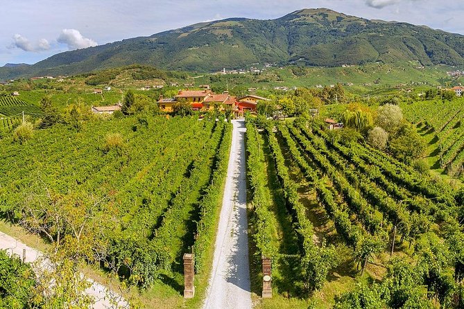Full Day Prosecco and Cheese Tasting from Venice - Price and value: where the $230 goes