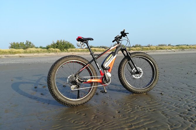 Full Day Venice E-Bike Rental - Key Things I’d Prioritize Before You Book