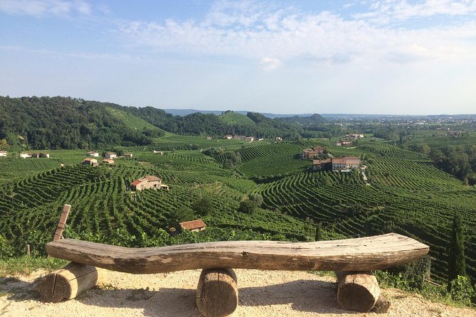 Full Day Wine Tour and Tasting in the Prosecco Region - Inside the first winery: grapes, fermentation, and a real taste of Prosecco Superiore DOCG