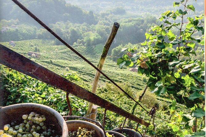 Full Day Wine Tour and Tasting in the Prosecco Region - Terrace views in the hills: the pause that makes the day feel special