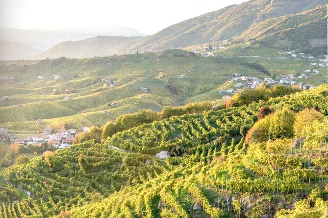 Full Day Wine Tour and Tasting in the Prosecco Region - Lunch and food: salami-and-cheese simplicity, plus the spiedo tradition
