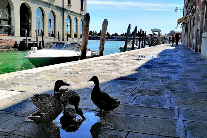 Island Hopping Tour: Mazzorbo, Burano and Murano - Mazzorbo: Gardens, Vineyards, and a Quiet Island Stroll