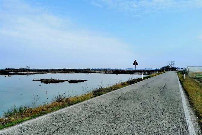 Lio Piccolo: Flamingos & Birdwatching Bike Tour in the Lagoon - Meeting at Fondamente Nove and the Fast Water-Bus Switch to Lagoon Mode