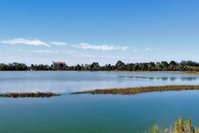 Lio Piccolo: Flamingos & Birdwatching Bike Tour in the Lagoon - Treporti Bike Setup: Pick Your Ride, Then Start Watching
