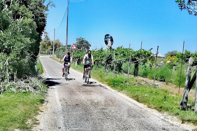 Lio Piccolo: Flamingos & Birdwatching Bike Tour in the Lagoon - Group Size and Pace: Designed for Birds, Not for Crowds