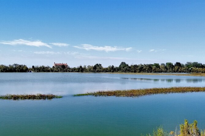 Lio Piccolo: Flamingos & Birdwatching Bike Tour in the Lagoon - Treporti Bike Setup: Pick Your Ride, Then Start Watching