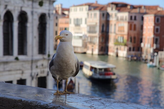 Photography workshop in the magical Venice (3h) - Walking stops that matter: Santa Lucia, Rialto, and Piazza San Marco