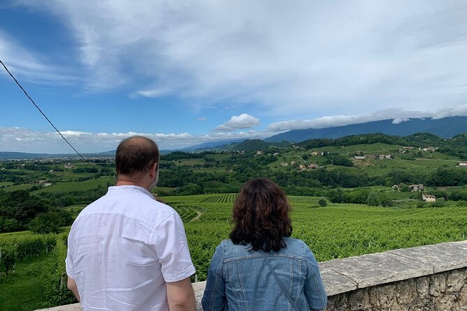 Premium Private Prosecco Hills Tour - 2 Wineries. Private tour. - The Collalbrigo lunch window: a full osteria meal with a view