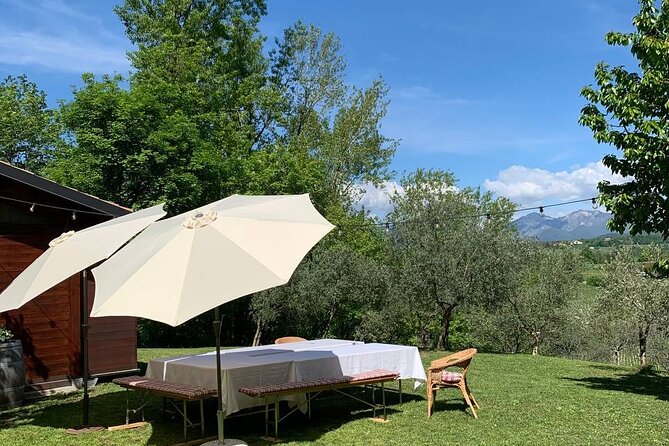 Premium Private Prosecco Hills Tour - 2 Wineries. Private tour. - Price and value: what $231.29 per person includes (and why it can be fair)