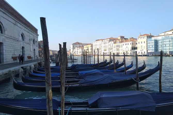 Private exclusive Venice and Murano guided tour - Rialto Bridge: Grand Canal Photos Without the Rush