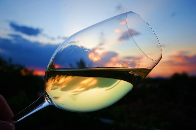 Private Half Day Wine Tasting tour: Road Of The Doges - A 17th-century villa cantina in Lison-Pramaggiore