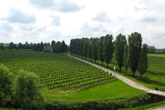 Private Half Day Wine Tasting tour: Road Of The Doges - Who this private Veneto wine tour from Venice suits best