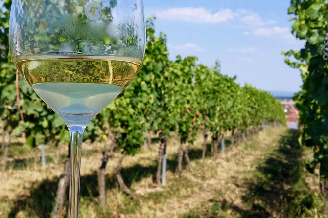 Private Half Day Wine Tasting tour: Road Of The Doges - Should you book this private Road of the Doges wine tasting?