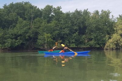 Private Kayak Tour in the Venetian Lagoon - The Lagoon Route: Ghebi, Sandbanks, and Islands Most People Never Reach